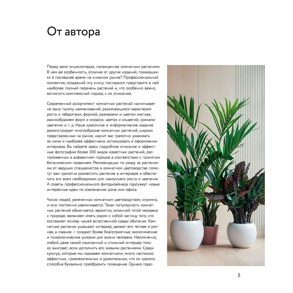 Книга "Зеленый оазис. Комнатные растения от А до Я", Березкина И. - 2