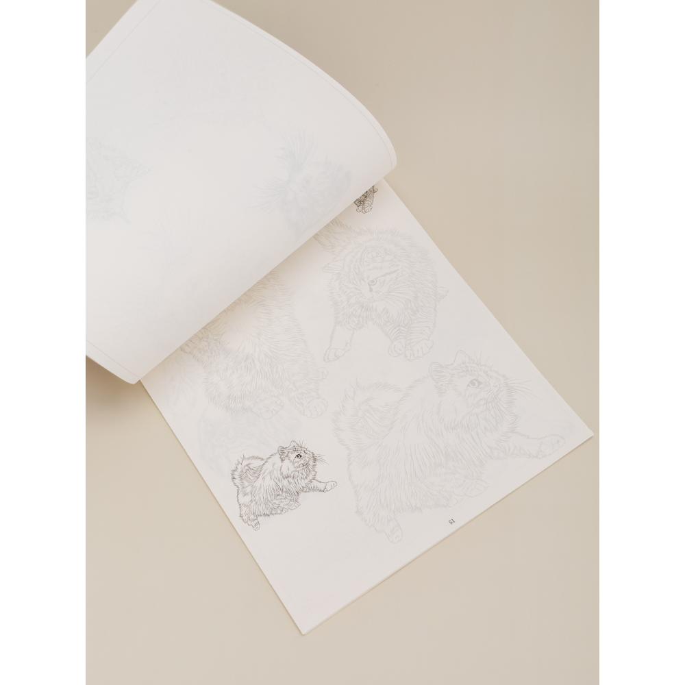 Книга "Альбом-пособие по рисованию. Фауна"