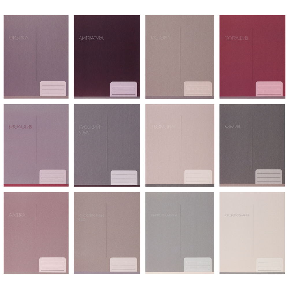 Набор тетрадей предметных "Girl's palette", А5, 48 листов, клетка, линейка, ассорти, 12 школьных предметов
