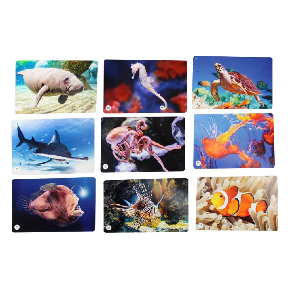 Игра настольная "МЕМО. Водный мир" - 3