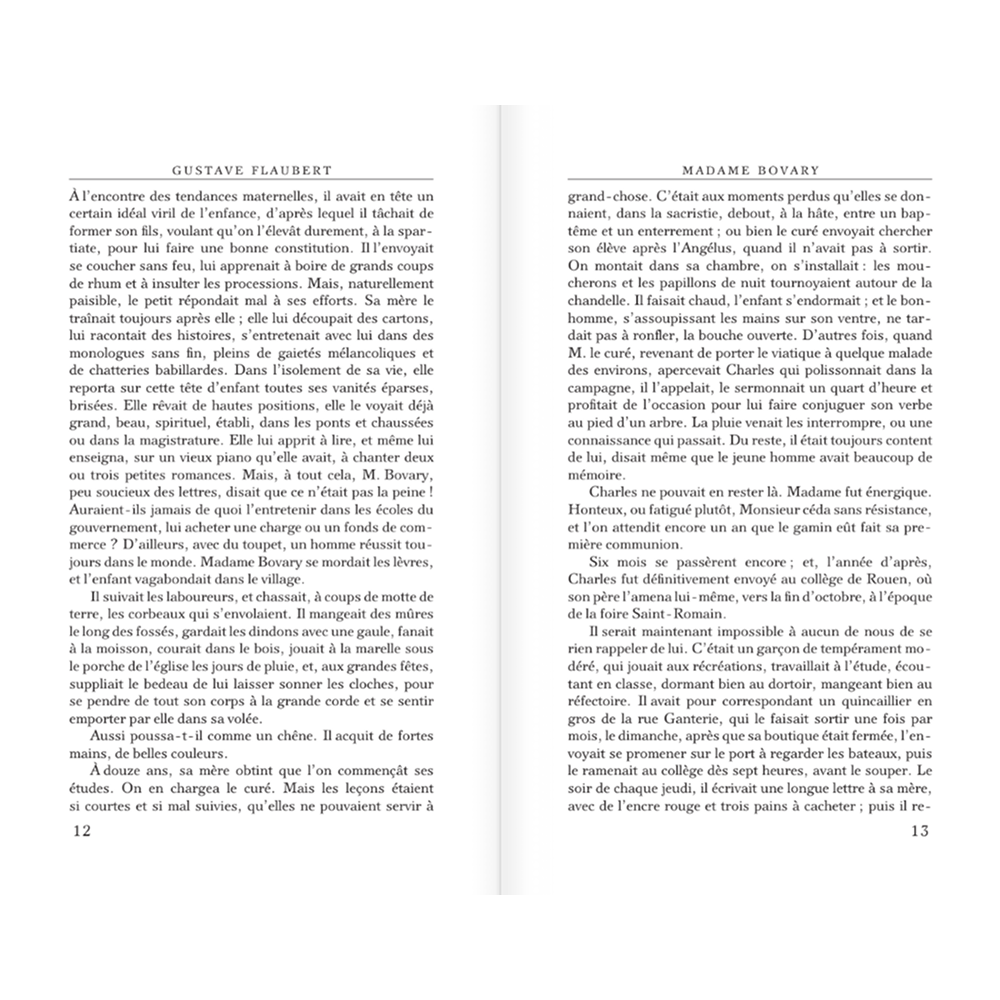 Книга на французском языке "Madame Bovary", Гюстав Флобер - 8