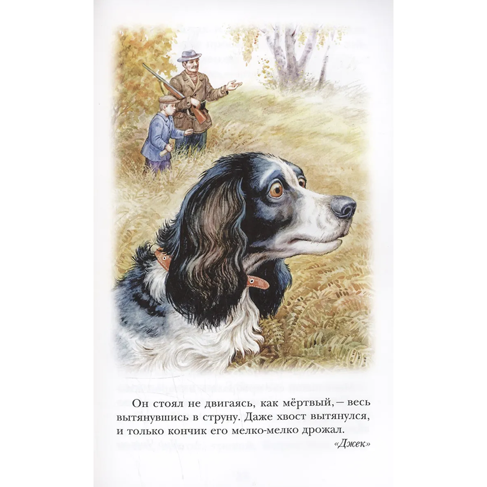 Книга "Детское чтение. Лесной голосок. Рассказы", Георгий Скребицкий - 7