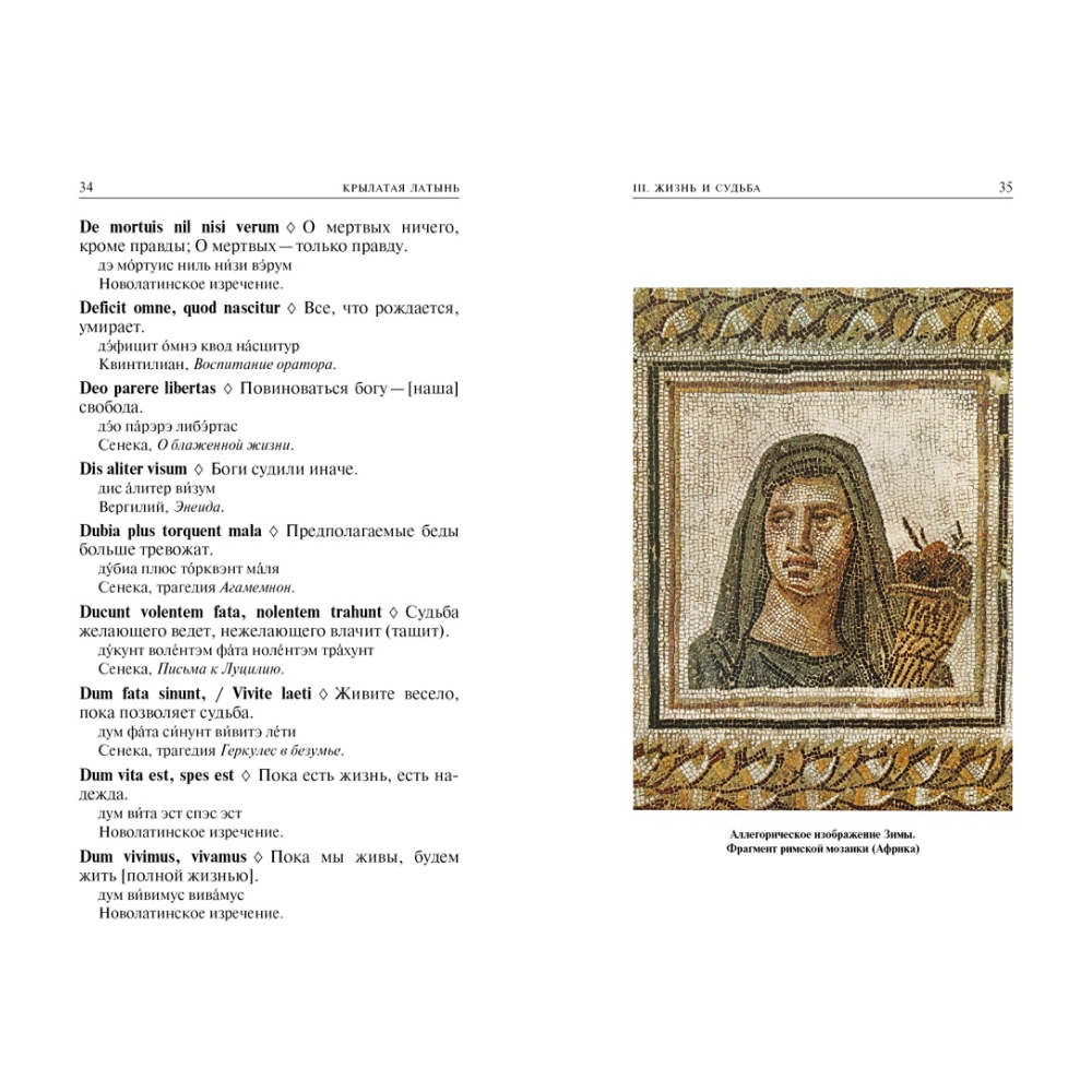 Книга "Крылатая латынь. Цитаты. Пословицы. Надписи. Девизы. Эпитафии", Константин Душенко, Григорий Багриновский - 4