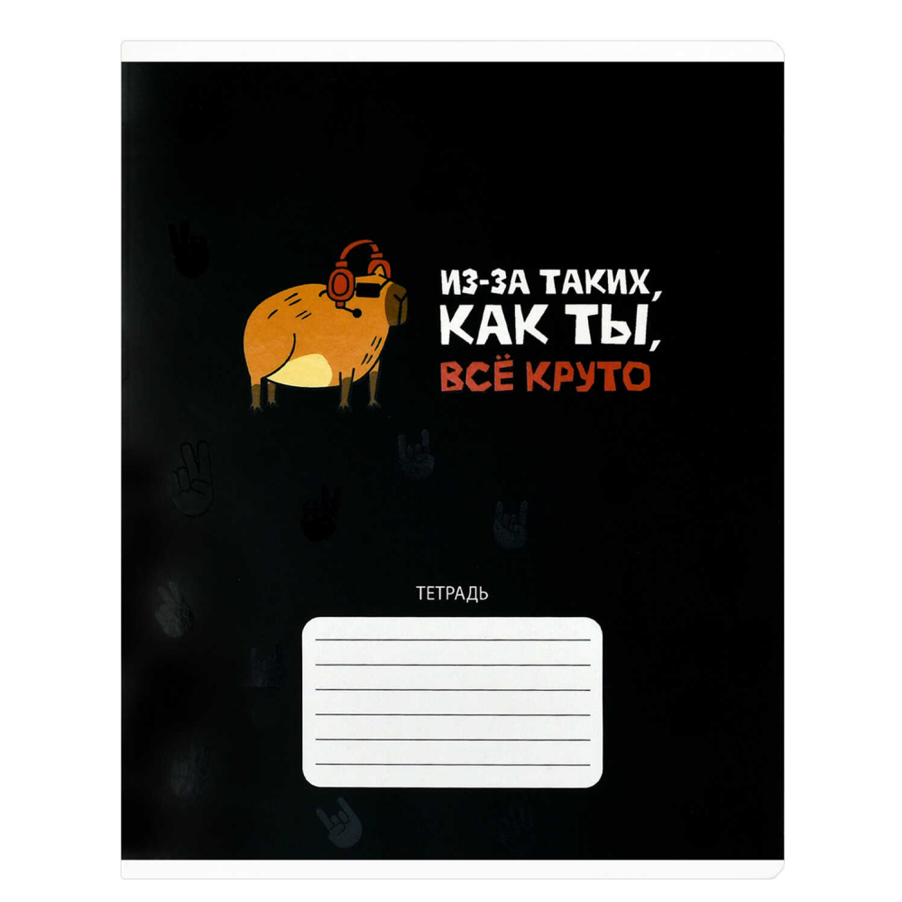 Тетрадь "Герои с характером", А5, 24 листа, клетка, ассорти