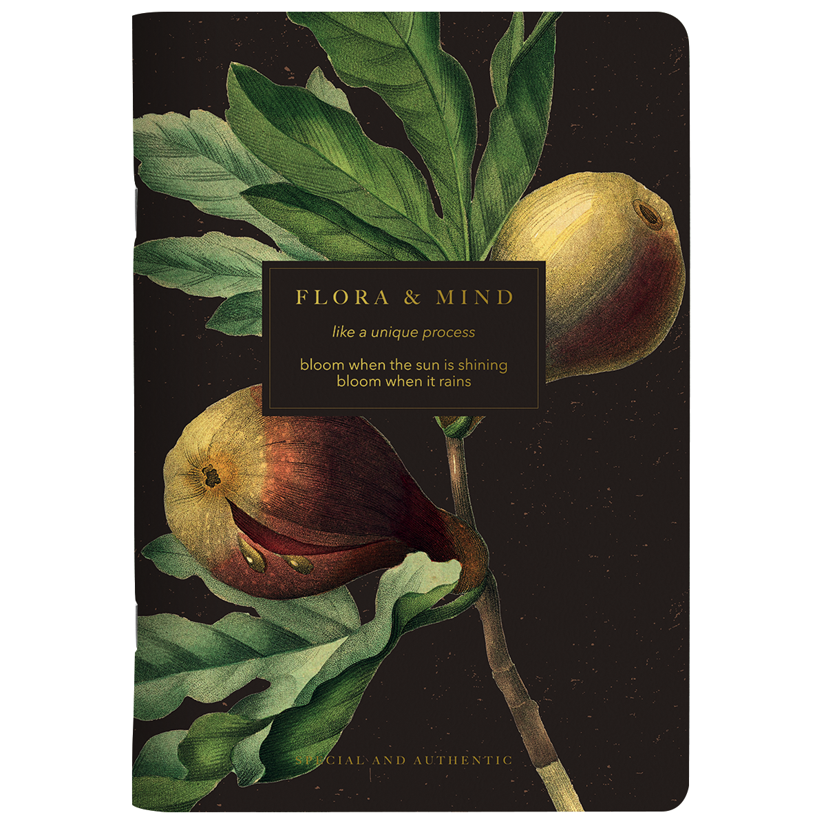 Тетрадь Flora инжир", А5, 40 листов, клетка, разноцветный