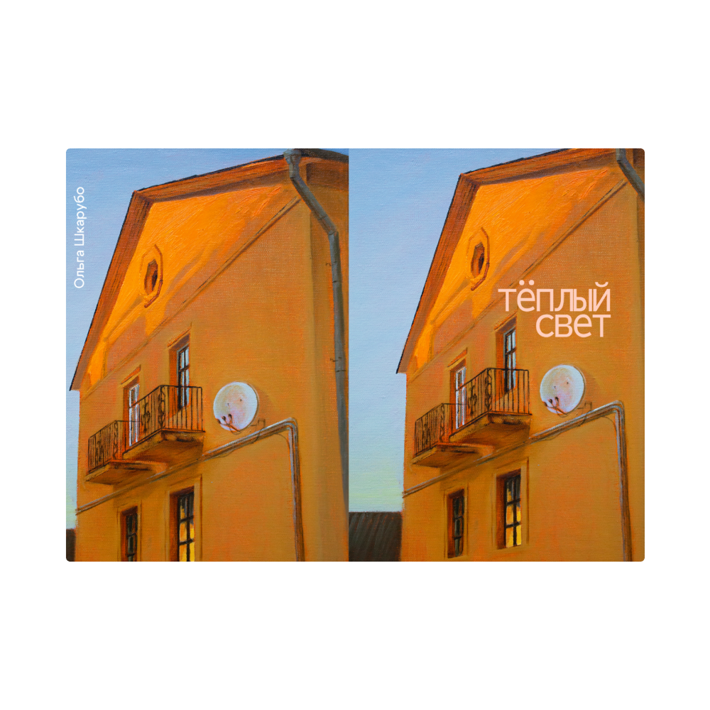 Обложка для паспорта «Теплый свет», Ольга Шкарубо, натуральная кожа, разноцветный