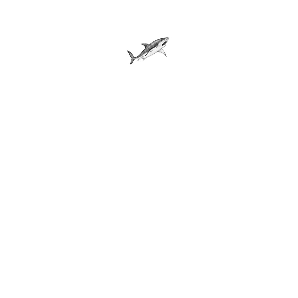 Книга "Тайна кита-оборотня (#4)", Катя Брандис