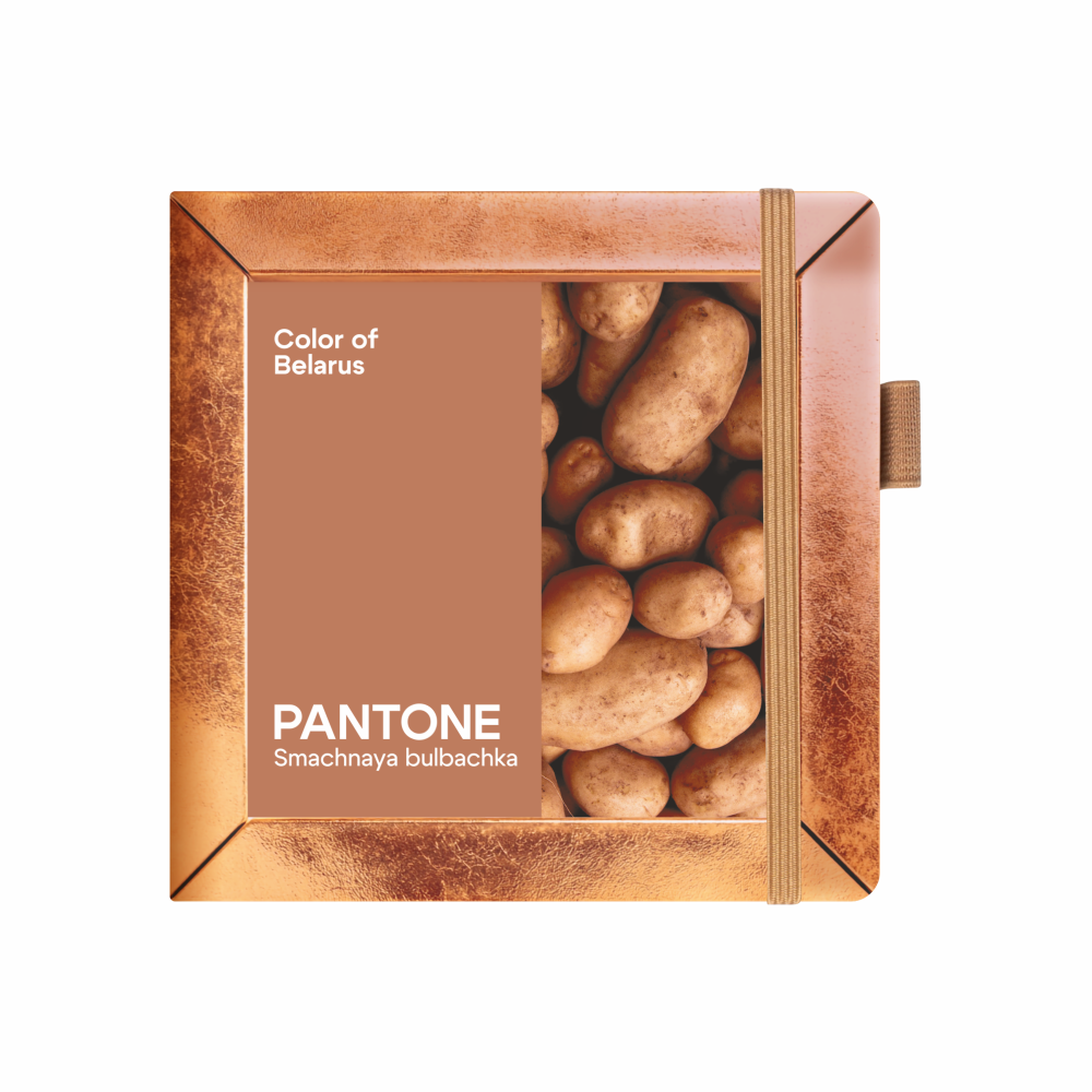 Скетчбук "Sketchmarker. Color of Belarus. Pantone Smachnaya bulbachka", 12х12 см, 140 г/м2, 80 листов, капучино