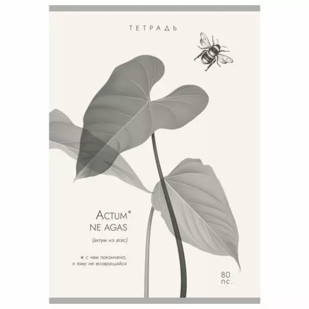 Тетрадь "Латынь", А4, 80 листов, клетка, ассорти