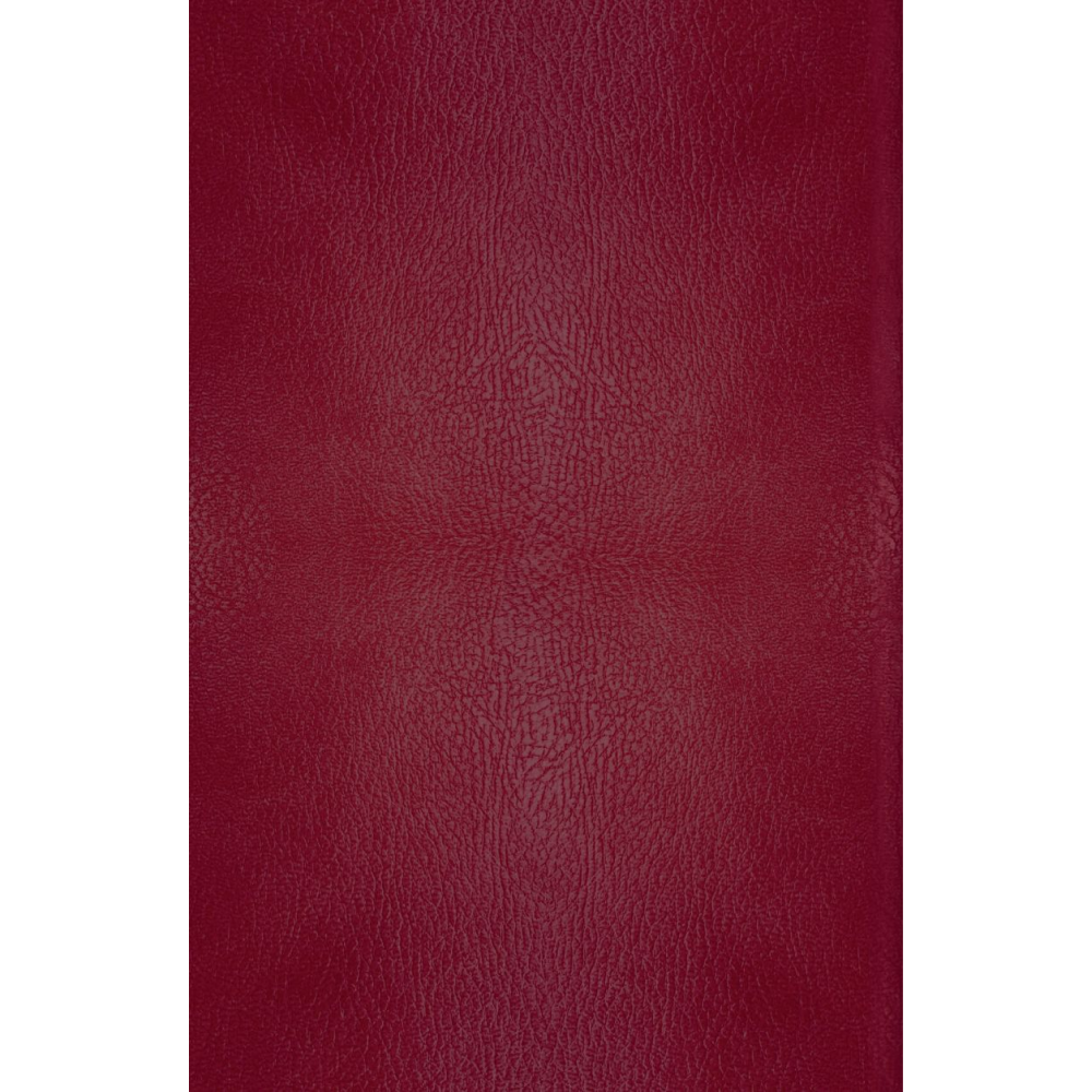 Книга "Хроники Нарнии. Начало истории. Подарочное издание", Клайв Стейплз Льюис - 5