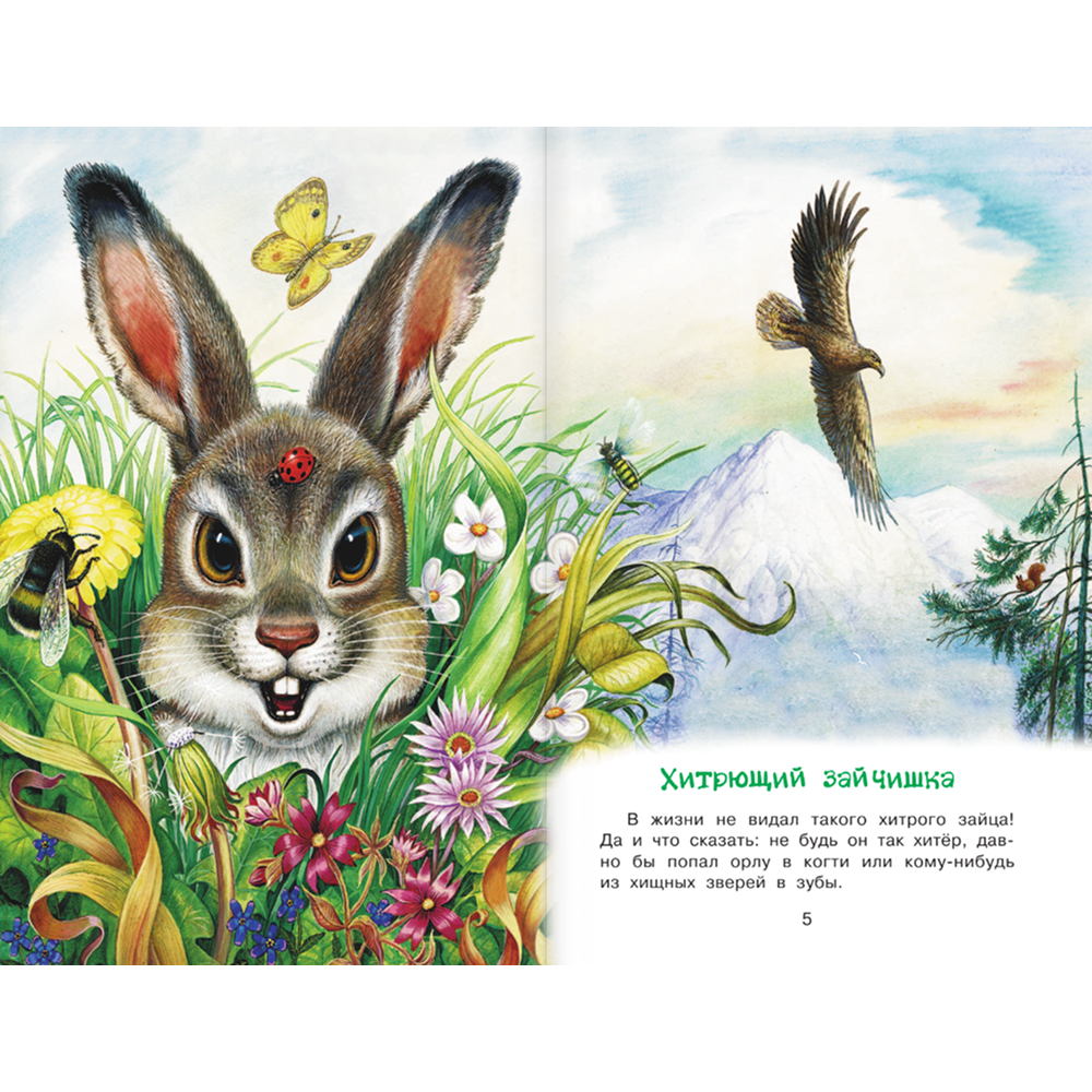 Книга "Библиотека начальной школы. Лесные сказки", Николай Сладков - 5