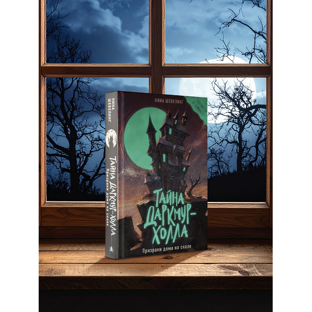 Книга "Тайна Даркмур-Холла. Призраки дома на скале", Нина Шевелинг