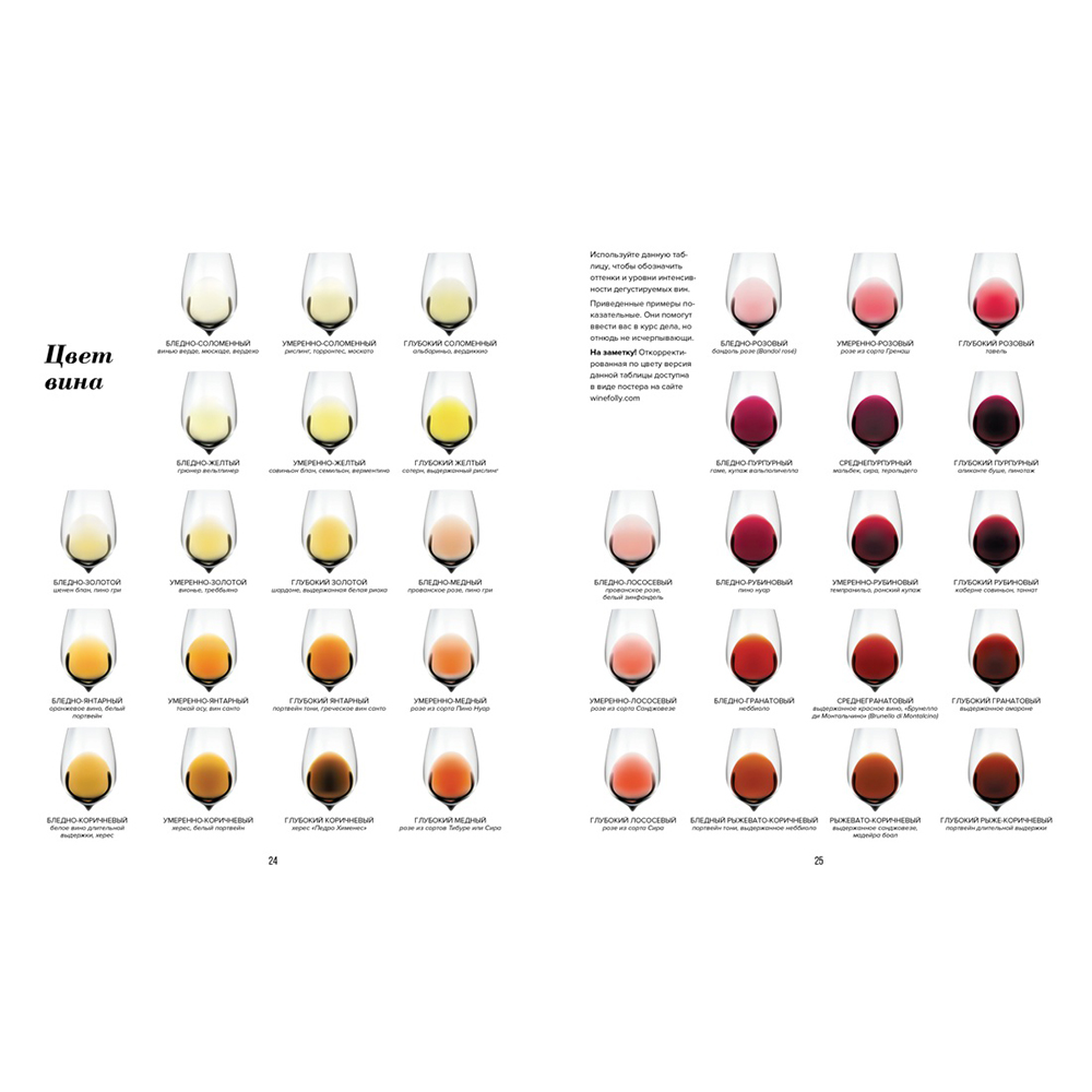 Книга "Wine Folly. Издание Магнум, детализированное", Мадлен Пакетт, Джастин Хэммек - 5