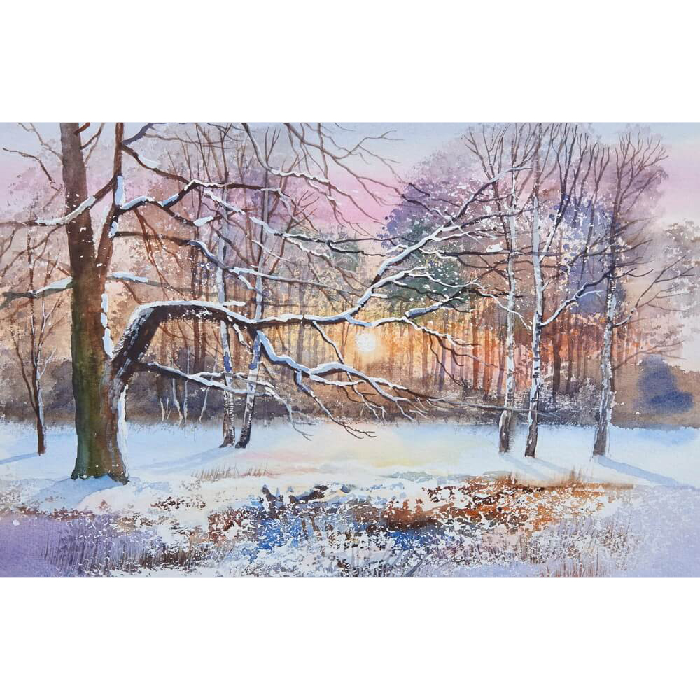 Книга "Зимние сюжеты акварелью. Как нарисовать снежную сказку", Терри Харрисон - 5