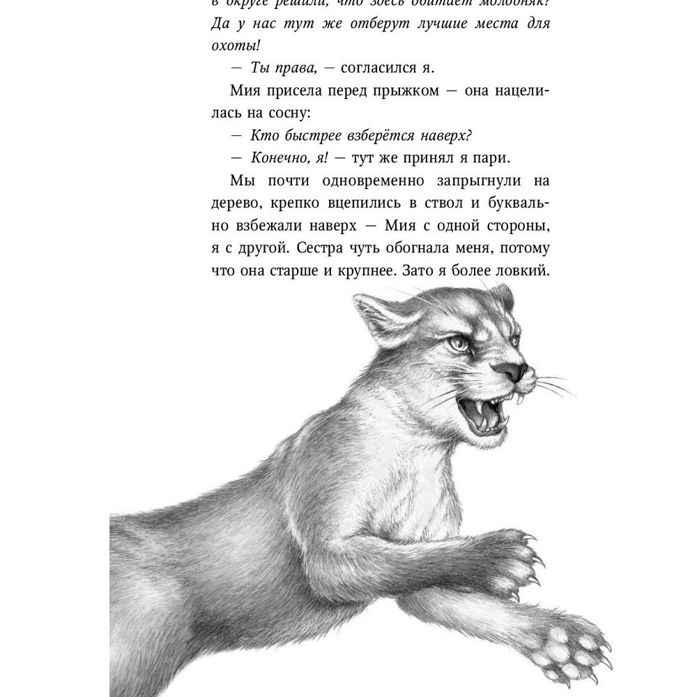 Книга "День огня (#6)", Катя Брандис - 5