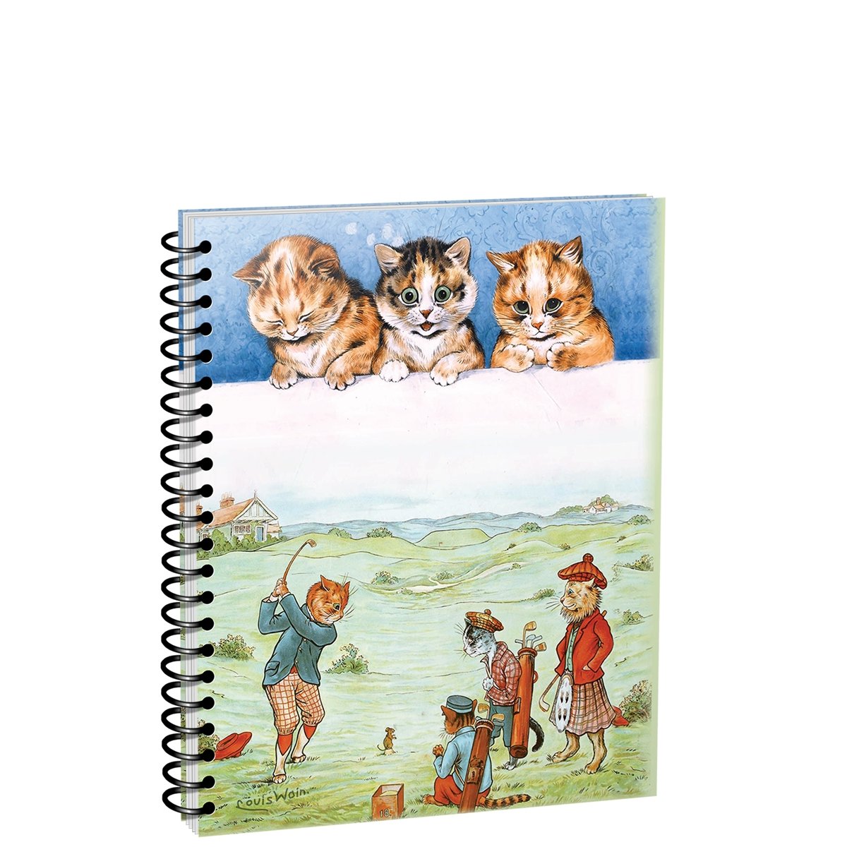 Скетчбук "Уэйн. Удар по мячу/ Три милых маленьких котенка", А5, 100 листов