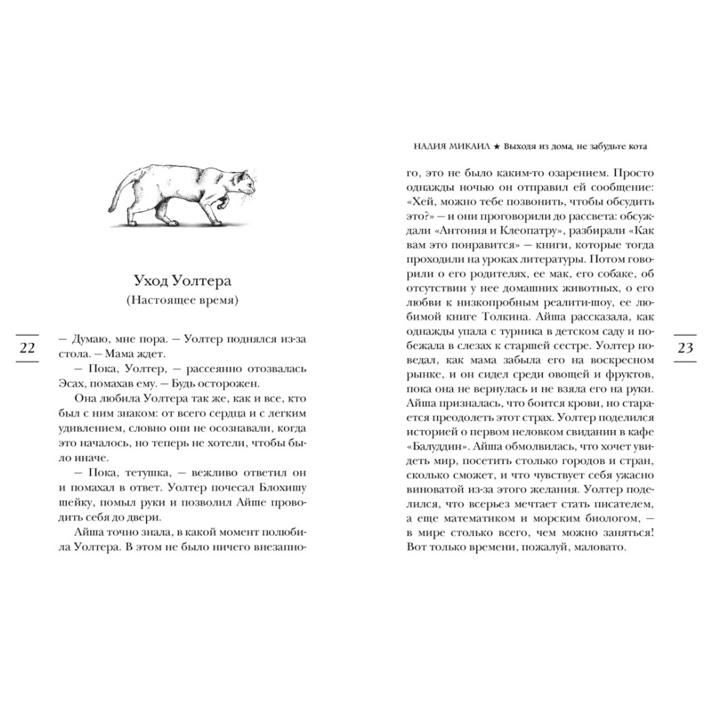 Книга "Выходя из дома, не забудьте кота", Надия Микаил - 9