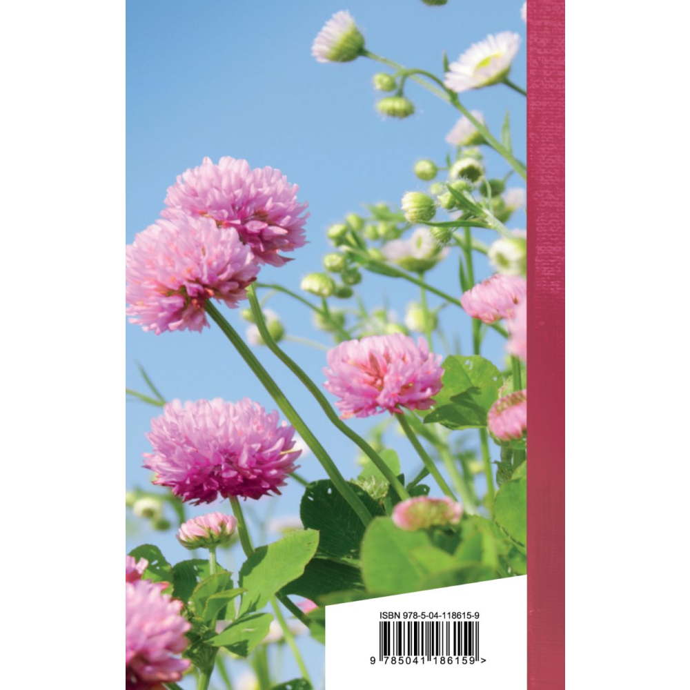 Книга "Золотая серия поэзии. Когда стихи улыбаются", Асадов Э. - 2