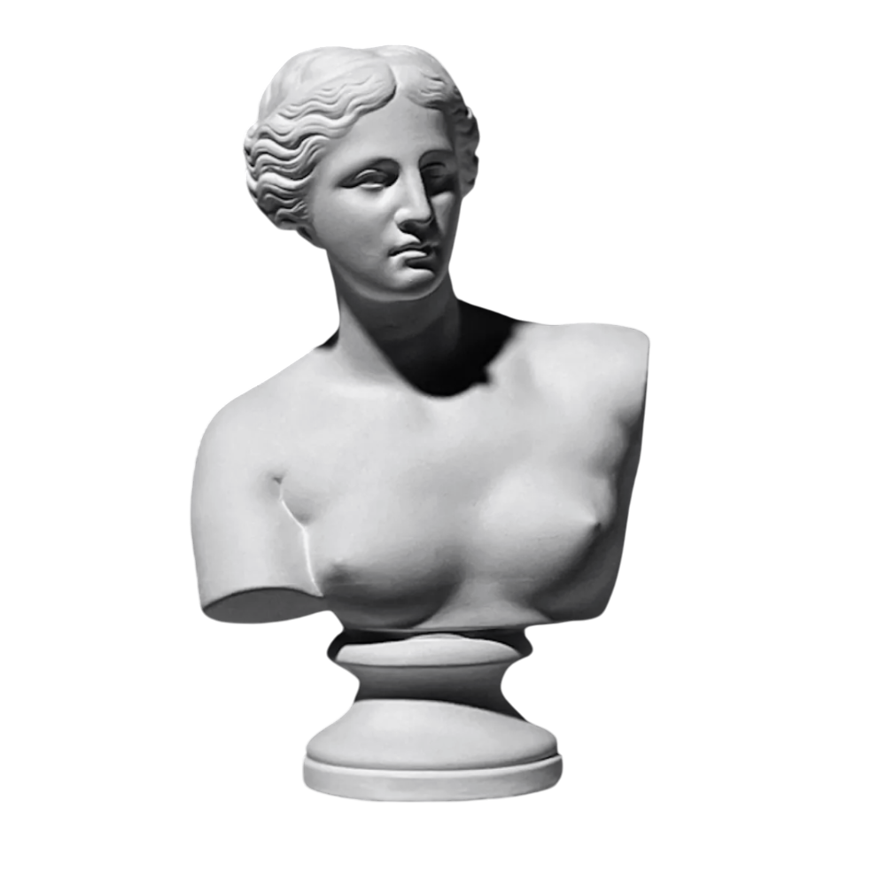 Гипсовая модель "Бюст Венеры Милосской"