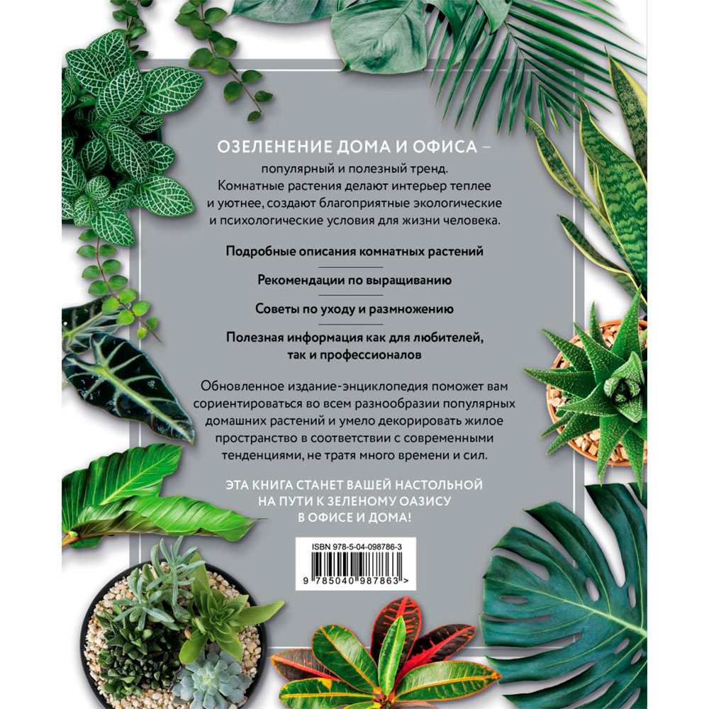 Книга "Зеленый оазис. Комнатные растения от А до Я", Березкина И. - 10