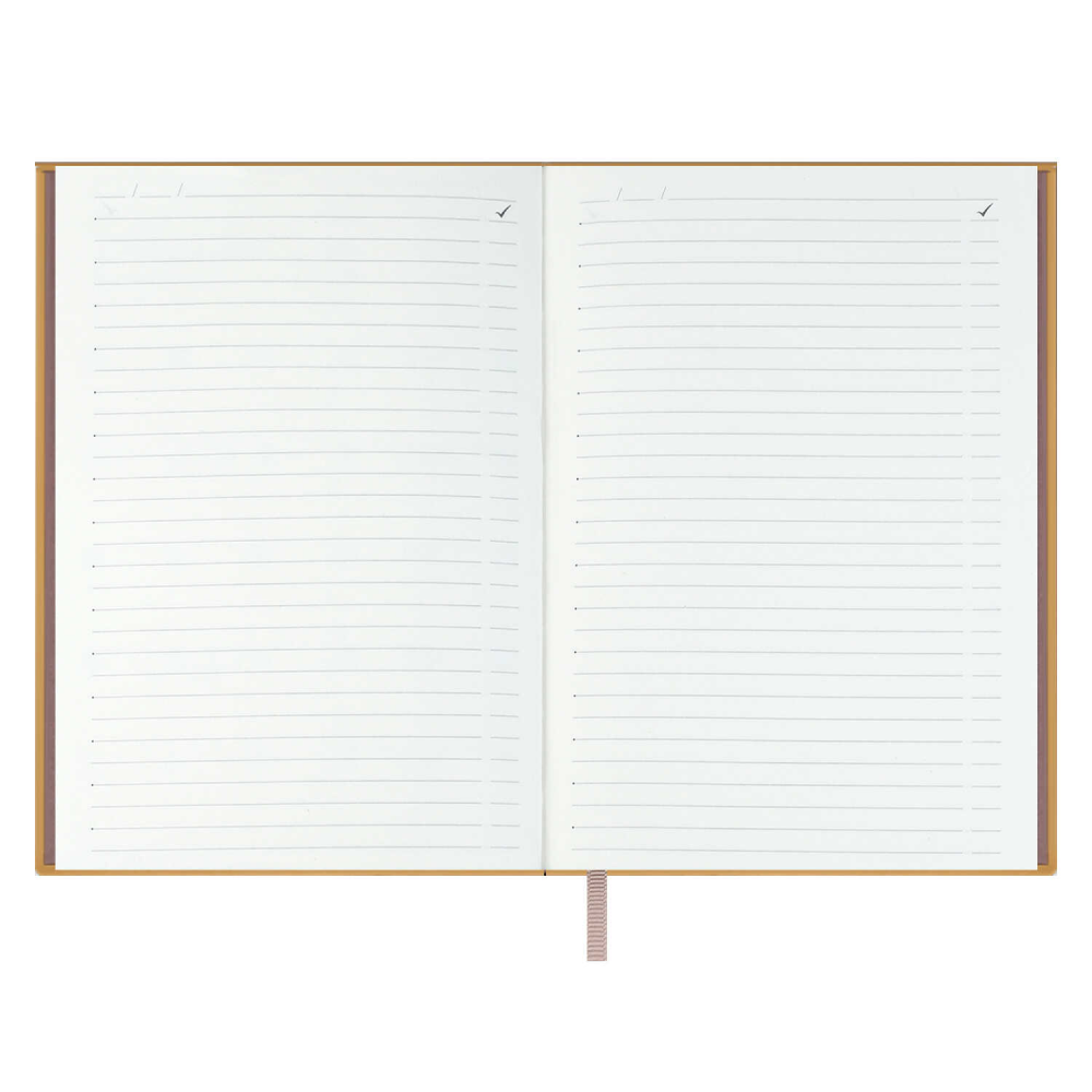 Ежедневник недатированный "Аспид Глосс", А6+, 320 страниц, линейка, пепельно-розовый - 3