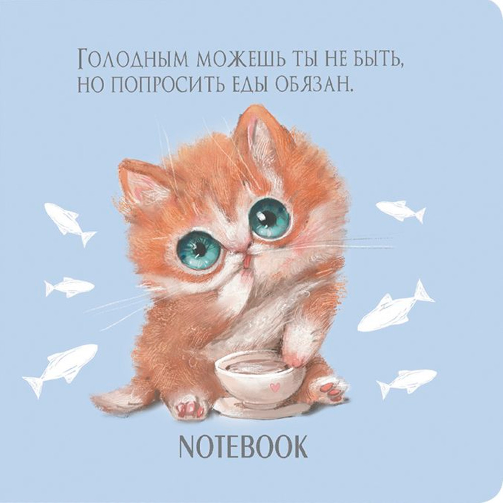 Блокнот "Блокнот Его Котейшества", 32 листа, в линейку - 3