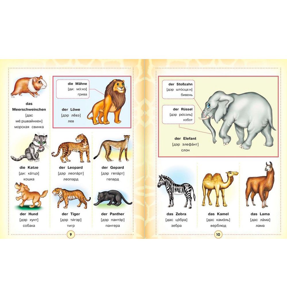 Книга "Немецко-русский визуальный словарь для детей" - 6