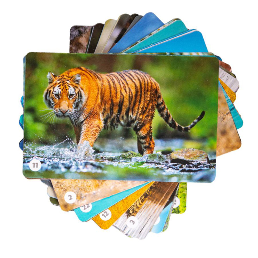 Игра настольная "МЕМО. Мир животных" - 5