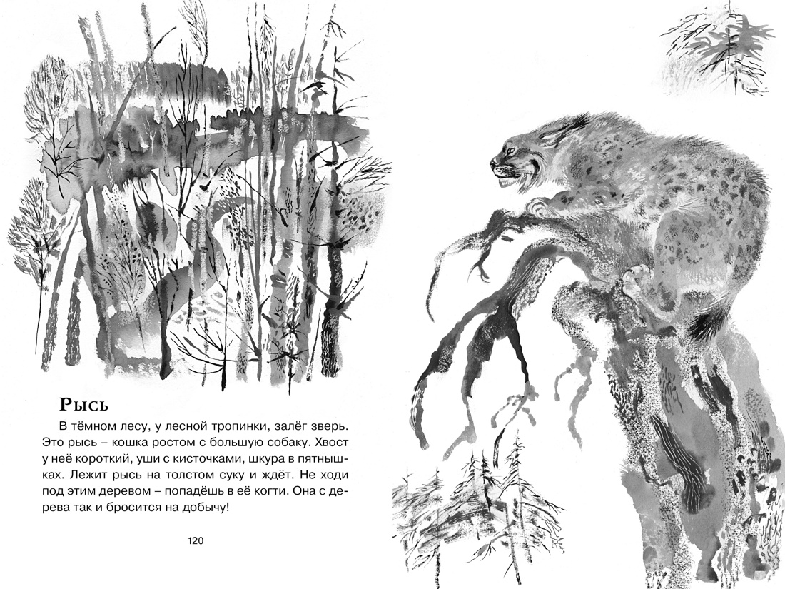 Книга "ЧЛУ. Друзья. Рассказы", Евгений Чарушин