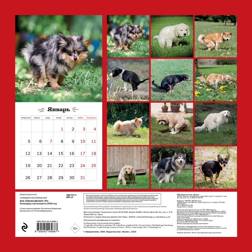 Календарь настенный перекидной "Все собаки делают это" на 2026 год