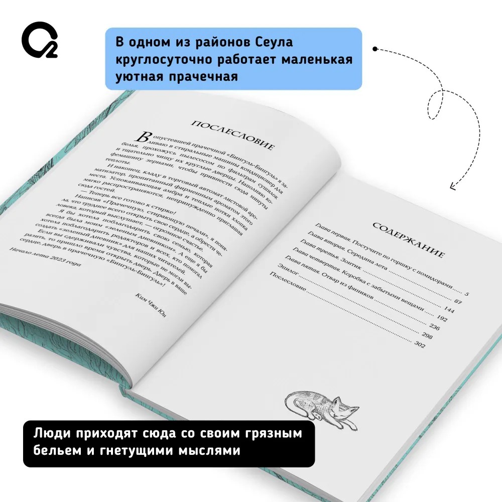 Книга "Прачечная, стирающая печали", Ким Чжи Юн