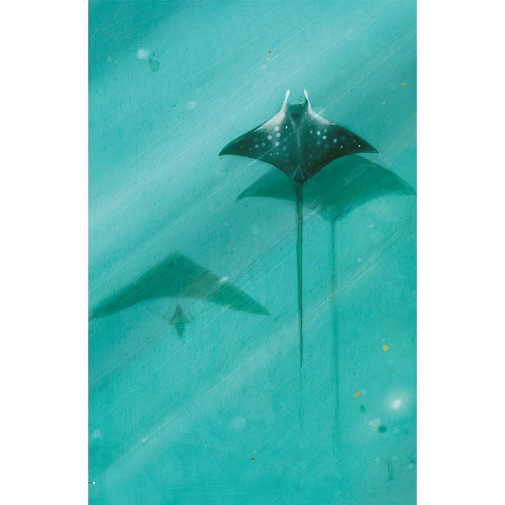 Книга "Диковинные животные", Даниэла Парески - 3