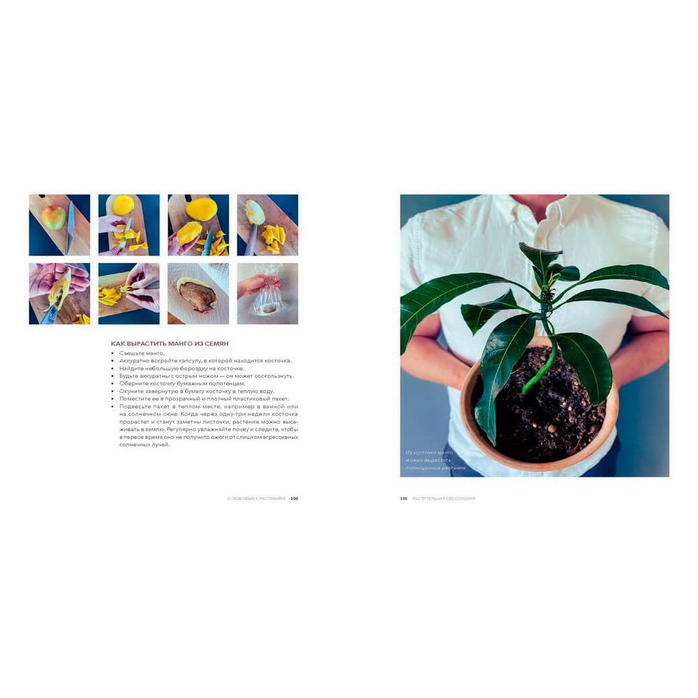 Книга "Urban Jungle. С любовью к растениям", Андерс Рёйнеберг, Эрик Шервен - 15