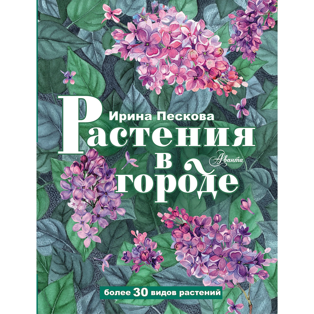 Книга "Растения в городе", Ирина Пескова