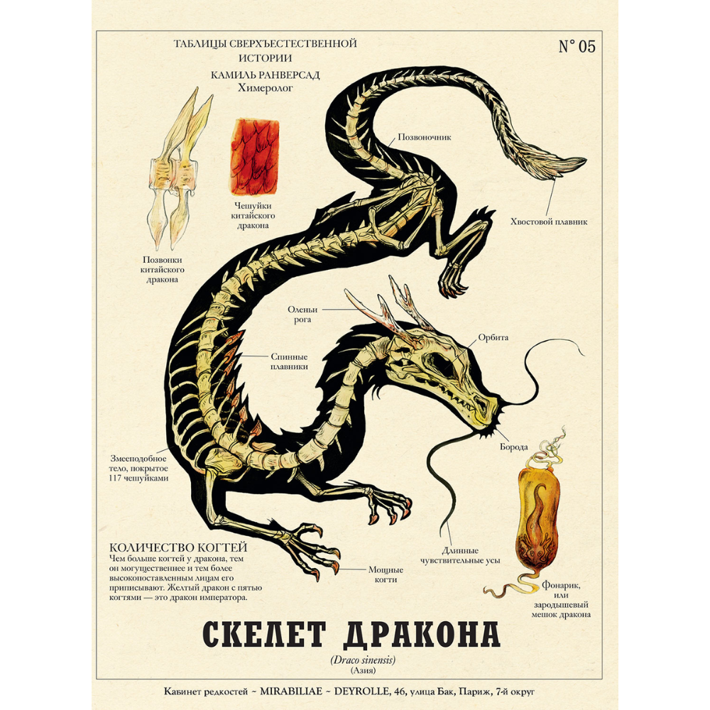 Книга "Подлинные истории фантастических существ", Жан-Батист де Панафьё, иллюстрации Камиль Ранверсад - 10