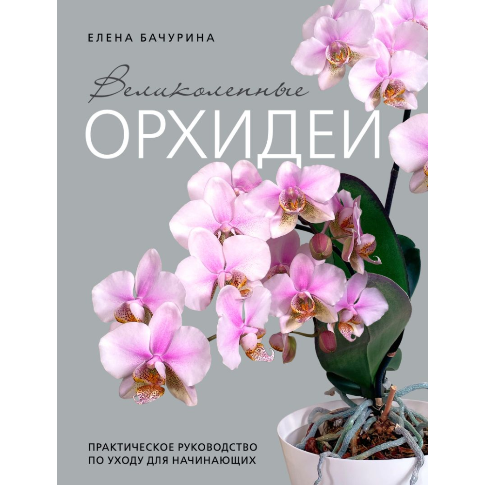 Книга "Великолепные орхидеи. Практичное руководство по уходу для начинающих", Бачурина Е. 