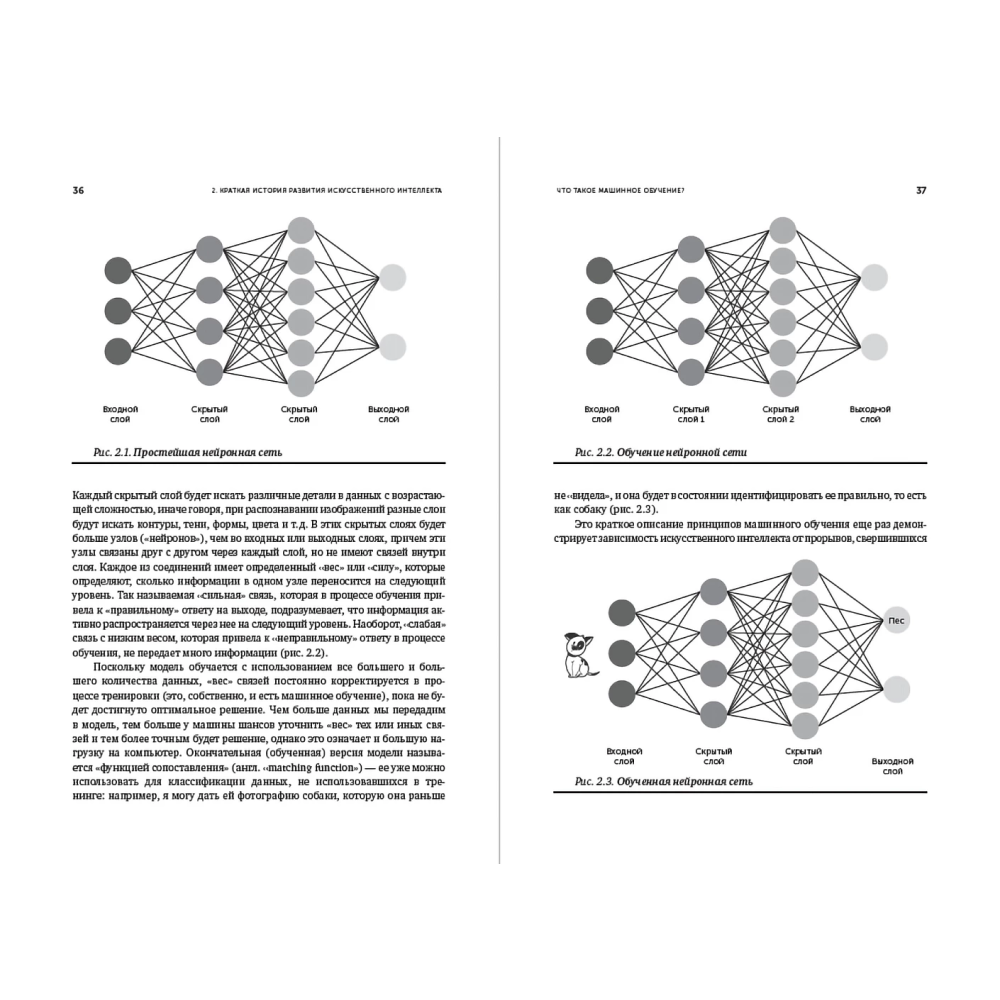 Книга "Искусственный интеллект — для вашего бизнеса. Руководство по оценке и применению", Эндрю Берджесс - 8