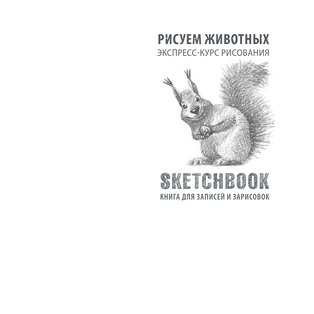 Скетчбук с уроками внутри "Рисуем животных (изумруд)" - 3