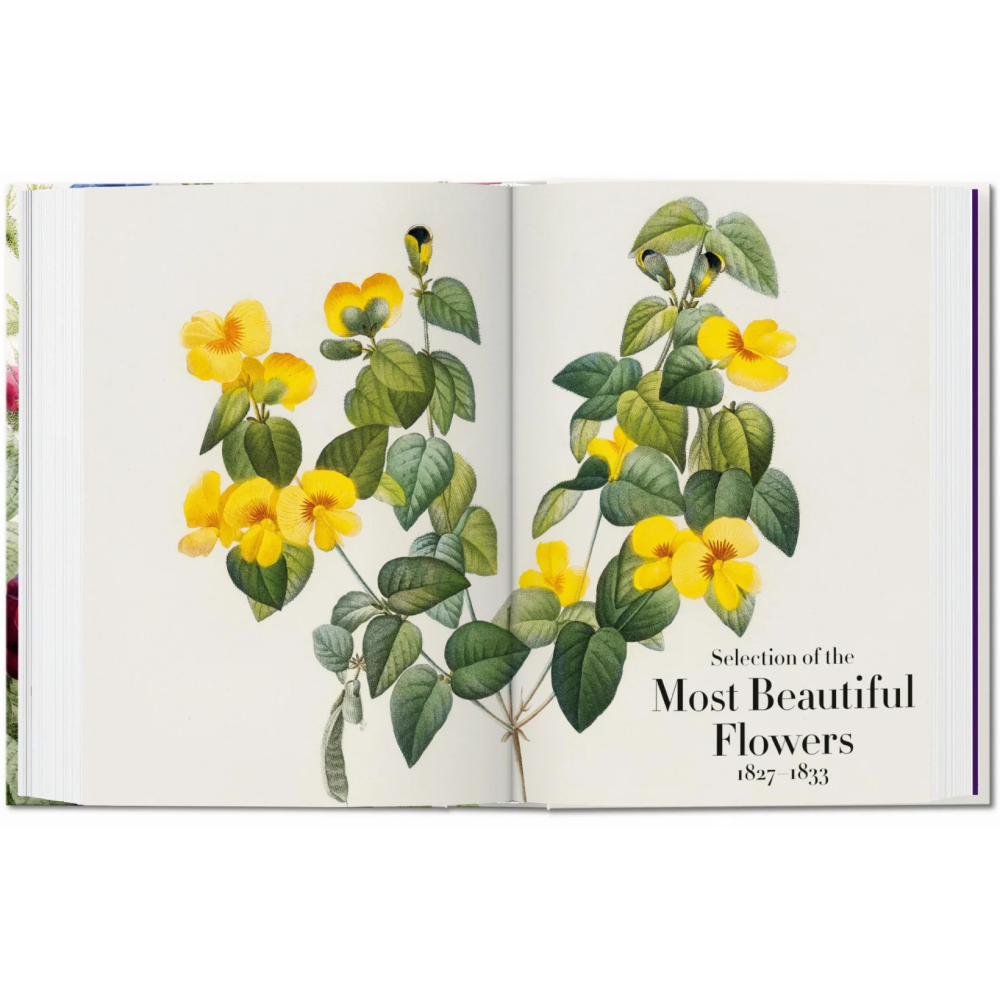 Книга на английском языке "The Book of Flowers", Pierre-Joseph Redoute - 3