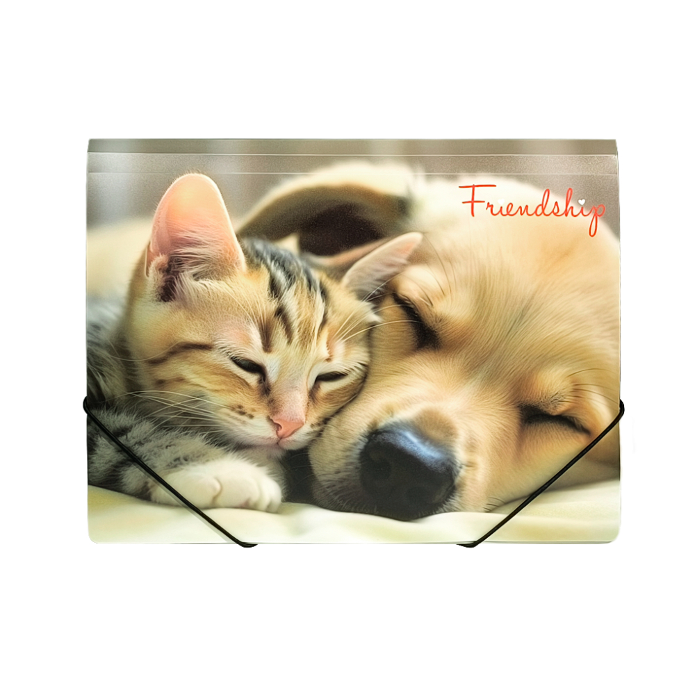 Папка на резинках "Friendship", пластик, 15 мм