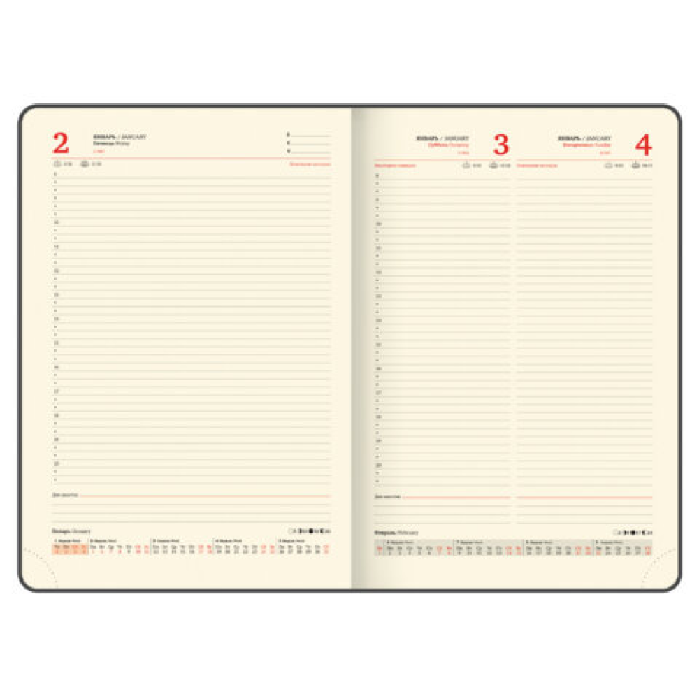 Ежедневник датированный "Iguana" на 2026 год, А4, 336 страницы, синий, срез золотой - 12