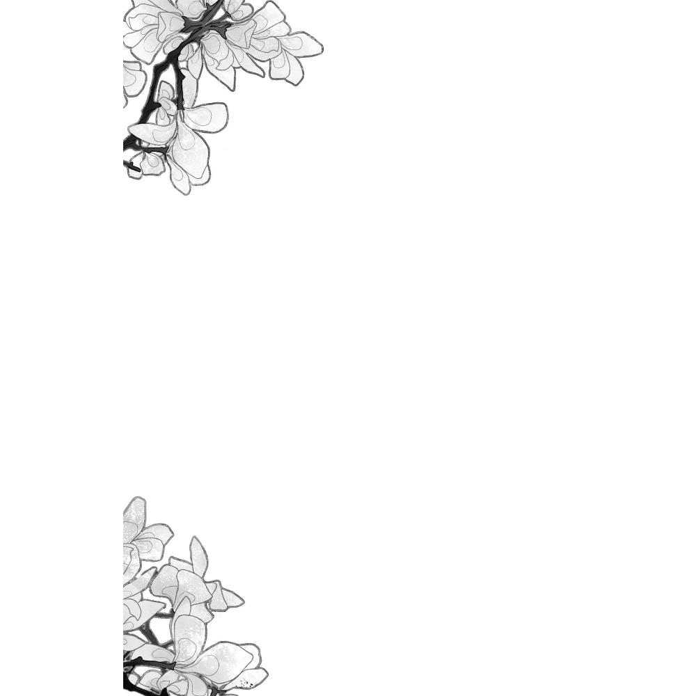 Книга "Дракула" (эксклюзивное оформление), Брэм Стокер - 4