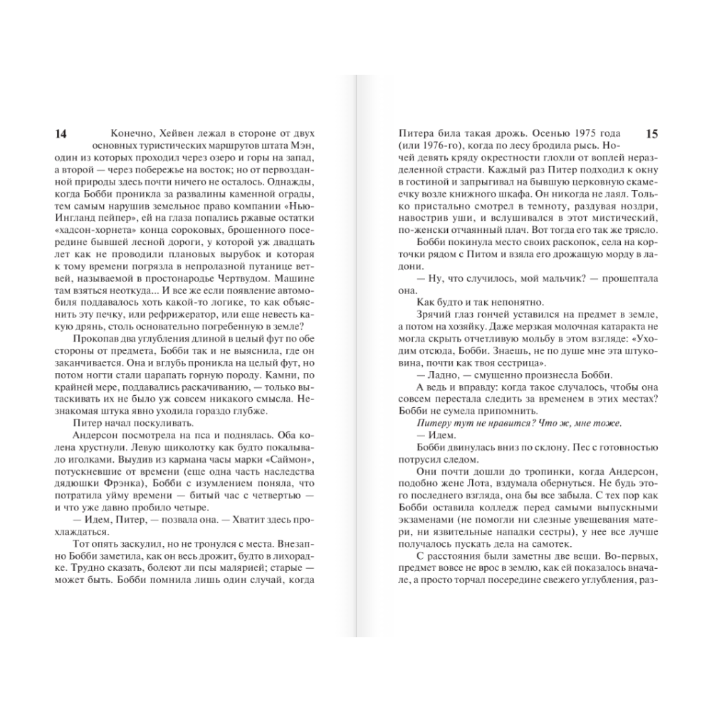 Книга "Томминокеры", Стивен Кинг - 10