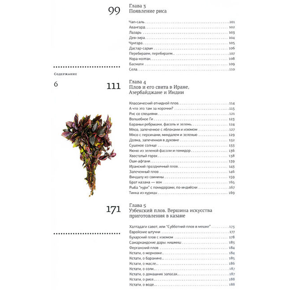 Книга "Казан, мангал и другие мужские удовольствия", Сталик Ханкишиев - 3