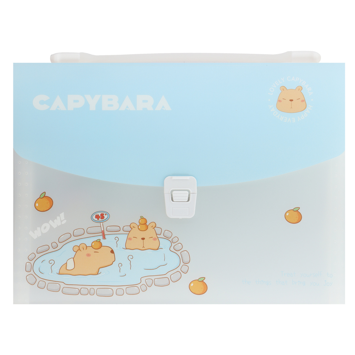 Папка-портфель "Capybara", ассорти - 3