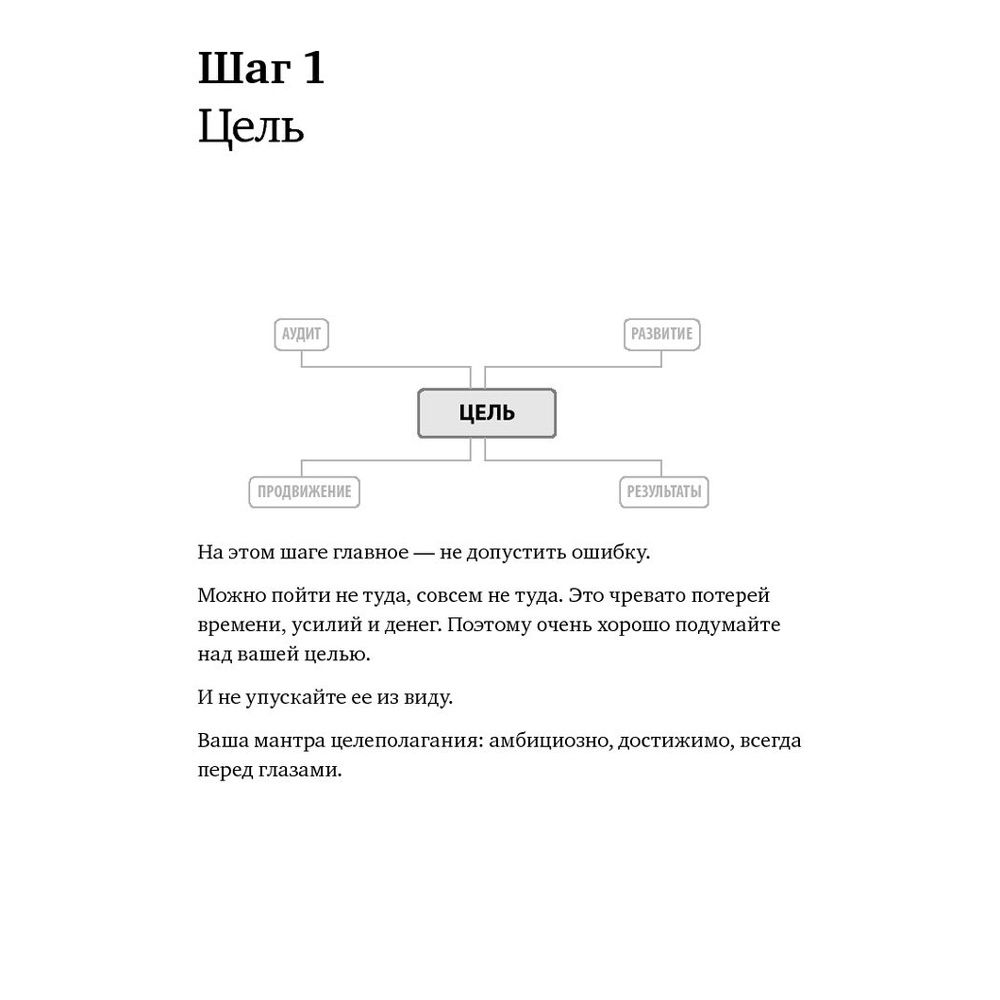 Книга "Номер 1. Как стать лучшим в том, что ты делаешь", Игорь Манн - 5