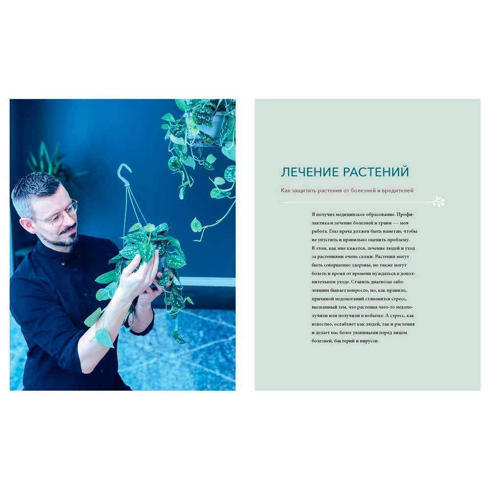 Книга "Urban Jungle. С любовью к растениям", Андерс Рёйнеберг, Эрик Шервен - 14