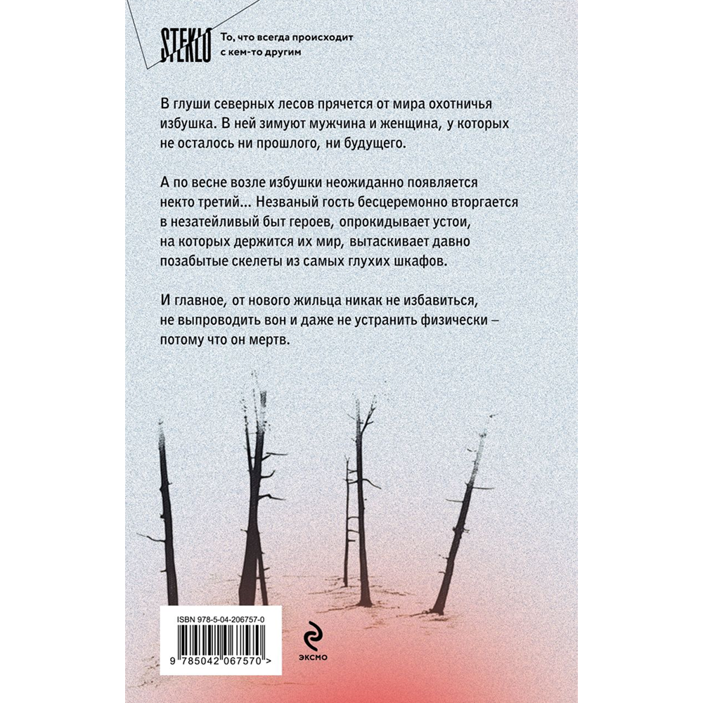 Книга "Сгинь!", Настасья Реньжина