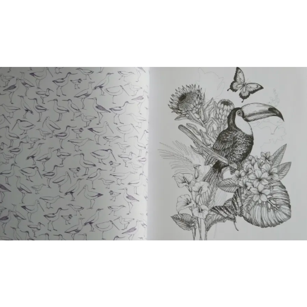Раскраска на английском языке "Colouring Book. Beautiful Birds"