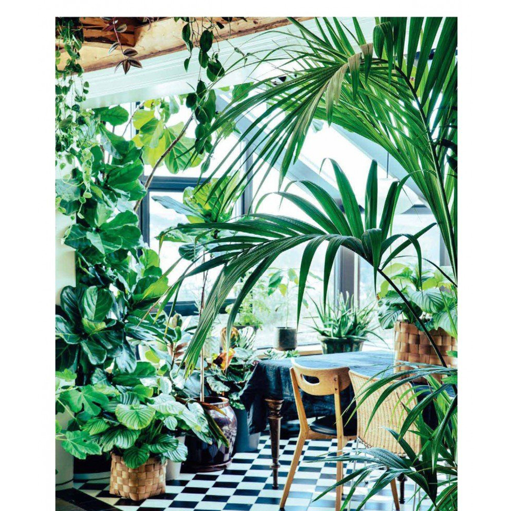 Книга "Urban Jungle. С любовью к растениям", Андерс Рёйнеберг, Эрик Шервен - 4